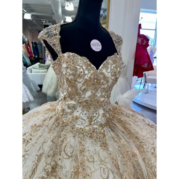 89246 Quinceanera dress by Vizacaya Crystal Beaded, Metallic Embroidery on a Tul - Picture 5 of 8